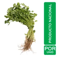 Culantro Auto Mercado Rollo Unid