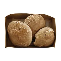 Hongo Portobello Auto Mercado Bandeja 500 G