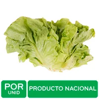 Lechuga Boston Auto Mercado Unid