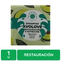 Shampoo Natural Frida Rapacion Y Suavidad The Rainforest Lab Caja 80 G