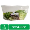 Lechuga Salanova Organica Auto Mercado Paquete 3 Unid
