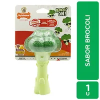 Juguete Morder Brocoli Para Perro Nylabone