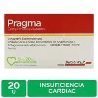 Insuficiencia Cardiaca Perro 10 Kg Pragma Brouwer