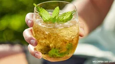 Mint Julep