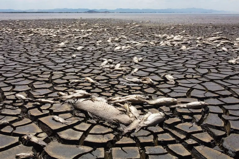 Earth records hottest ever year in 2024 and crosses key 1.5C threshold