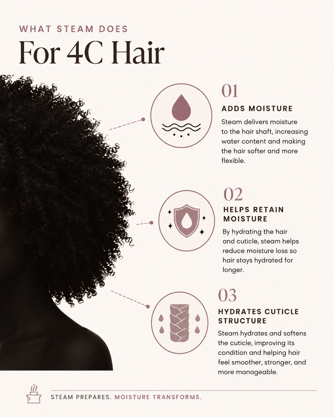 Infographic titled “What Steam Does For 4C Hair” showing a silhouette of natural 4C curls beside three numbered points: 01 Adds Moisture, 02 Helps Retain Moisture, and 03 Hydrates Cuticle Structure, with the line “Steam prepares. Moisture transforms.”