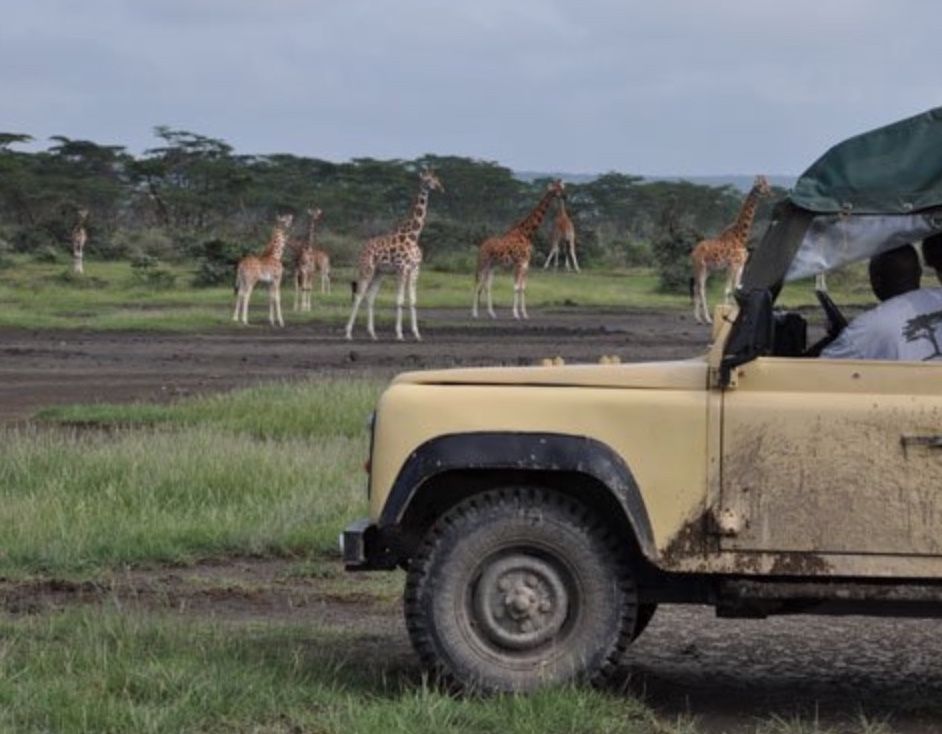 On Safari on a program in Summer in Kenya