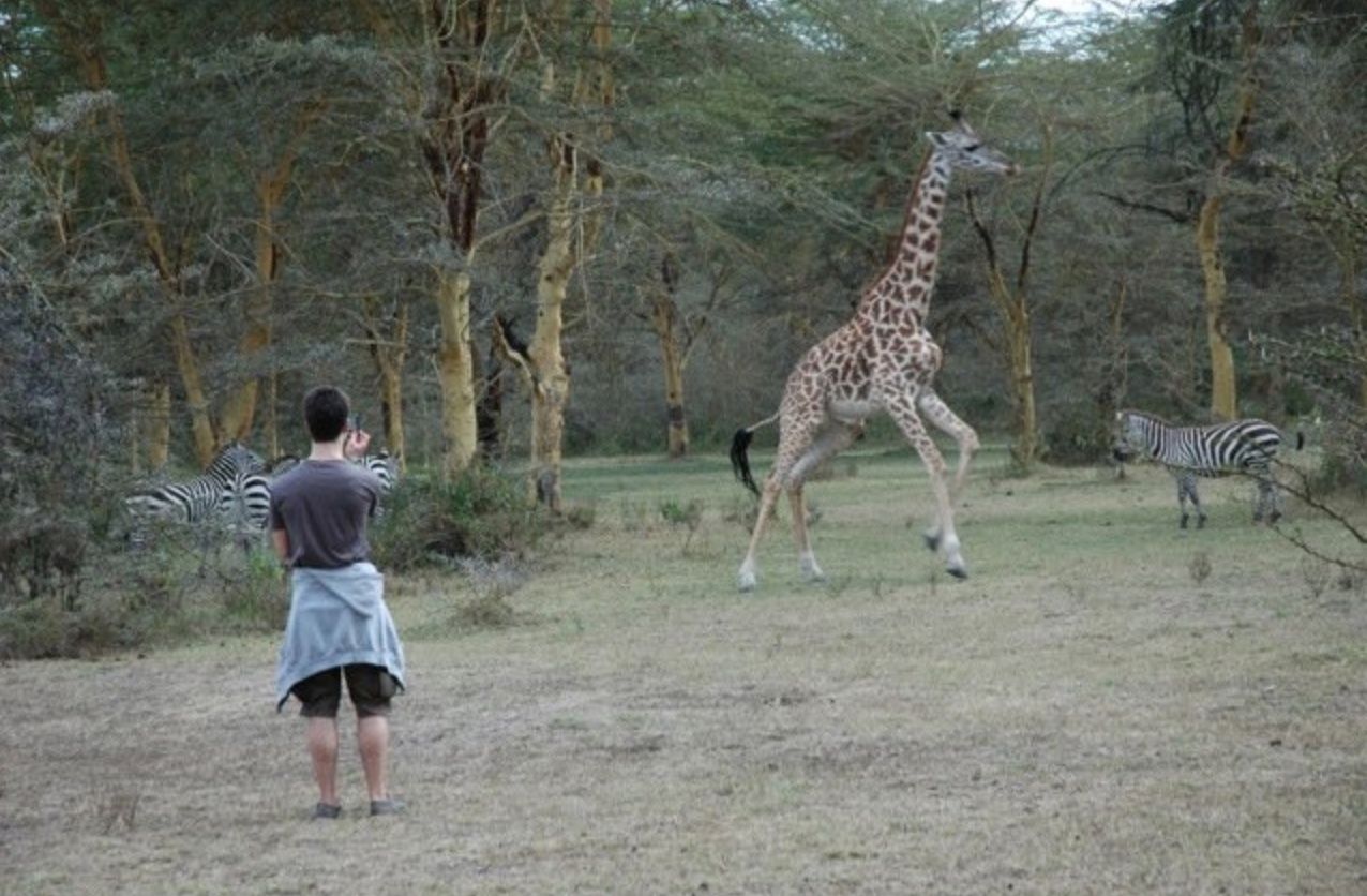 Get close to nature on your free Safari Gap Year Experience