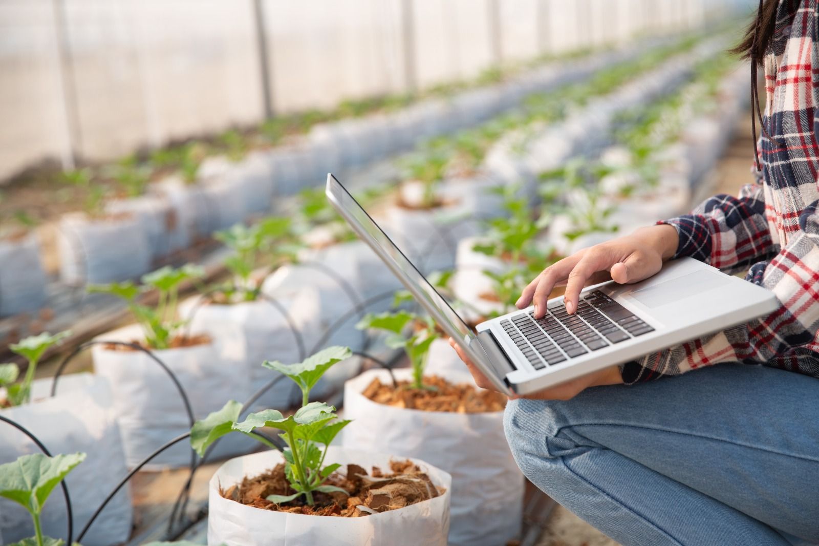Agriculture Technology Consulting