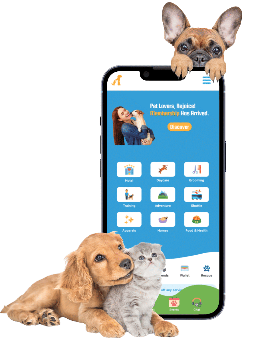 Fintech app UI