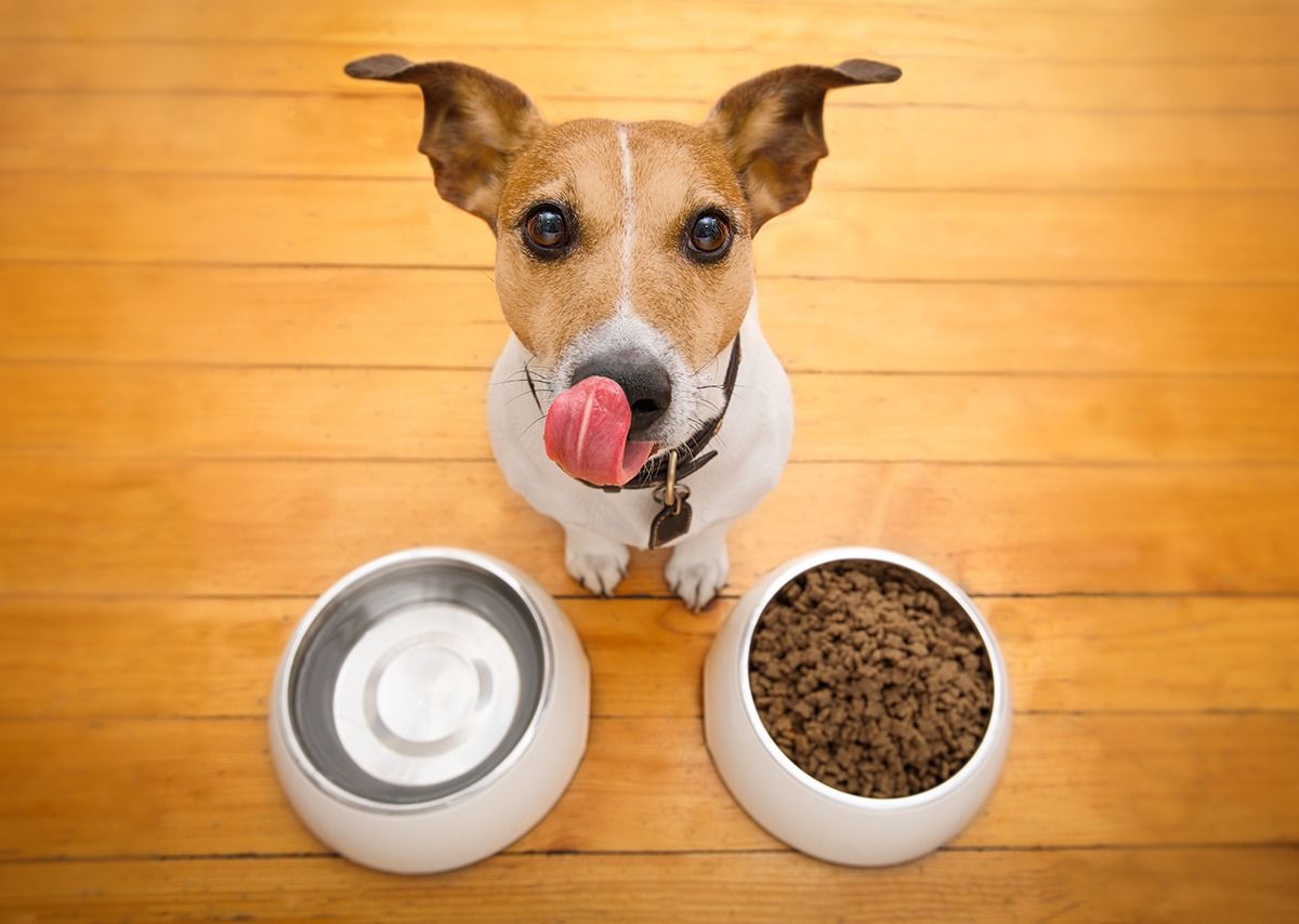 Ignoring Scalability