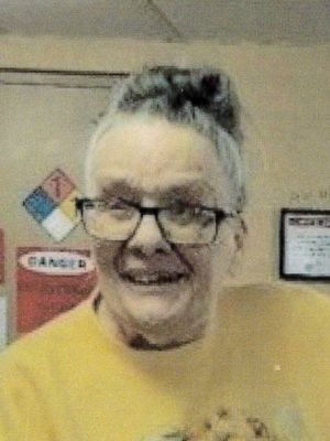 Photo of Diane R. Wessels