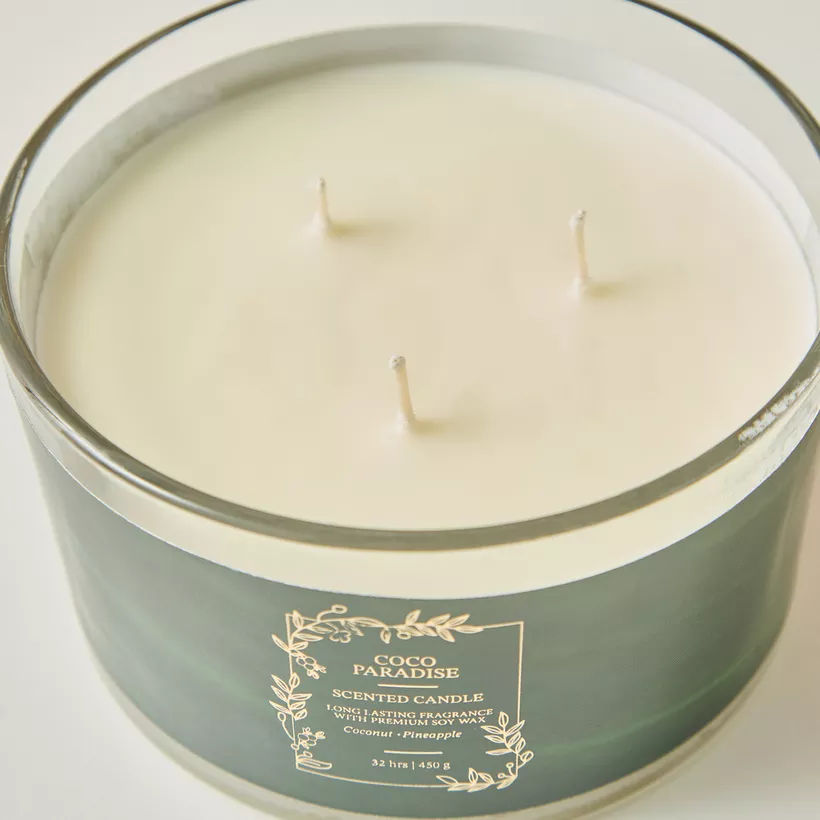 Scent.d Coco Paradise Scented 3-Wick Jar Candle - 450 gms