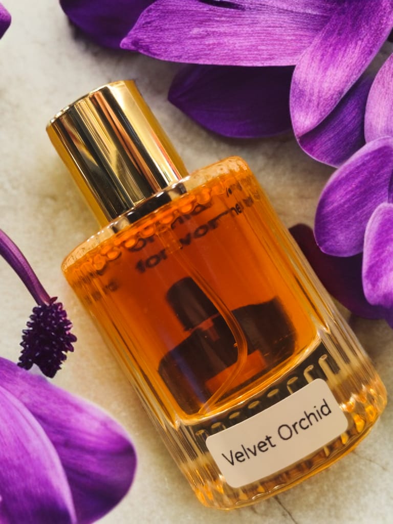Velvet Orchid