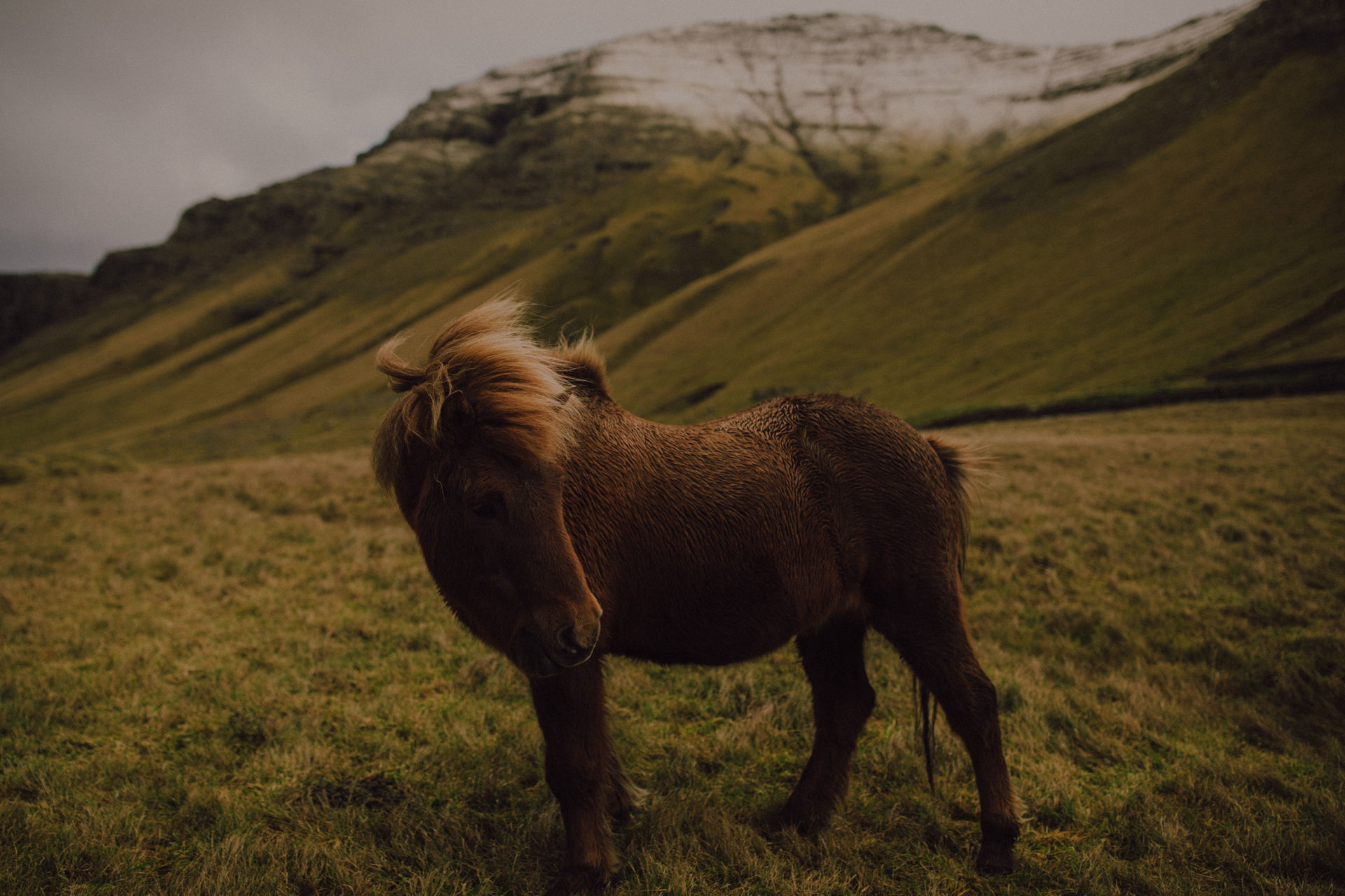 Image name /pedro-luz-e-lobos/blog/faroe-islands/f3.jpg