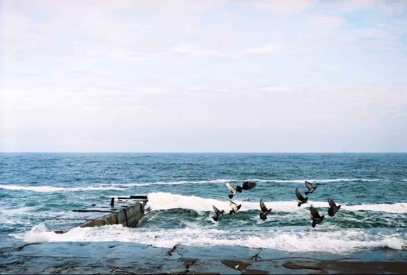 5363565568_f2845581b4_o-1400x946.avif