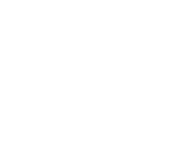 WIKISLOT