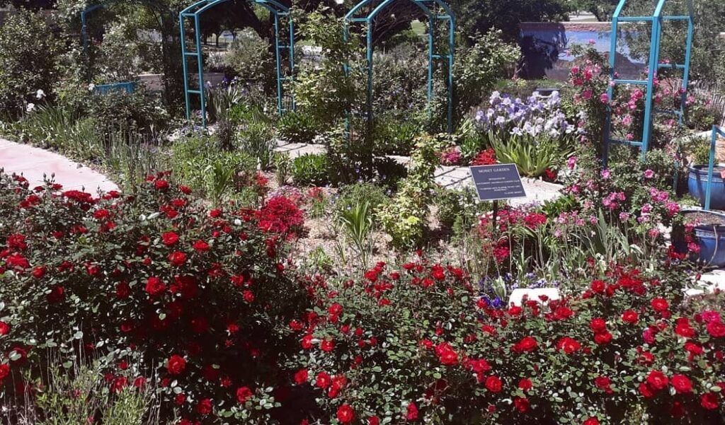 Amarillo Botanical Garden