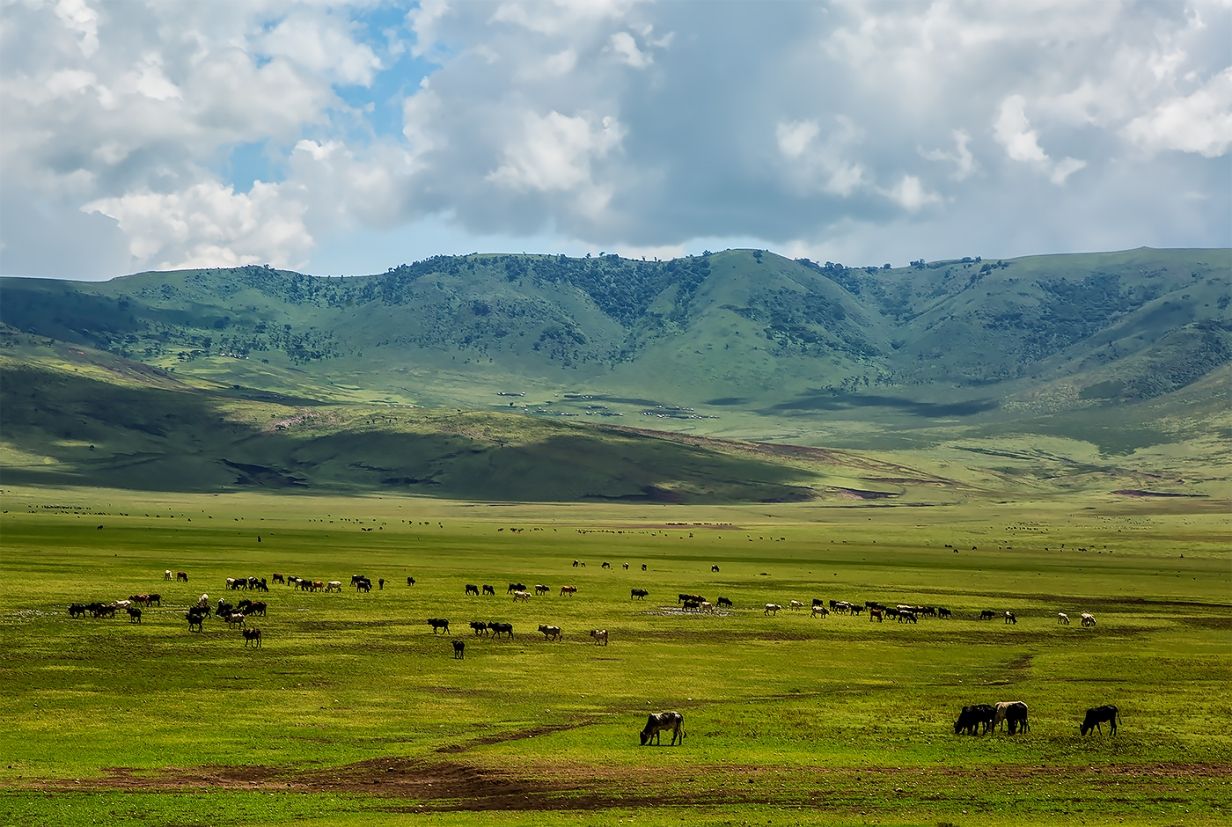 Fly to Ngorongoro Crater - Tanzania Safari Flights