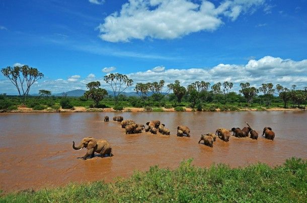 Fly to Samburu - Kenya Safari Flights