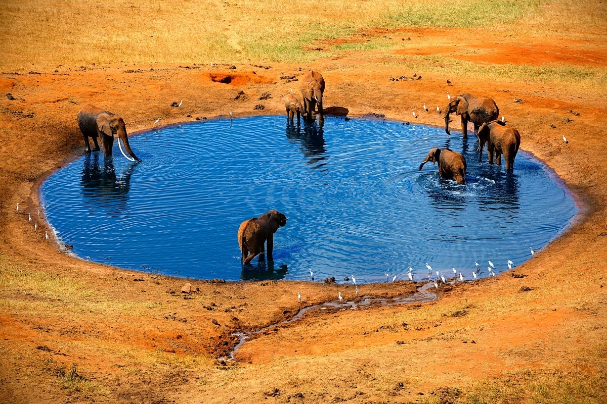 Fly to Tsavo - Kenya Safari Flights