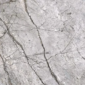 Fantastic Grey Fantastic Grey