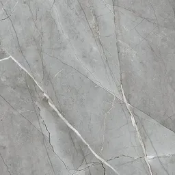 Elegant Grey Marble
