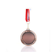 Striep Medal Awards & Recognition Medal AMD1011