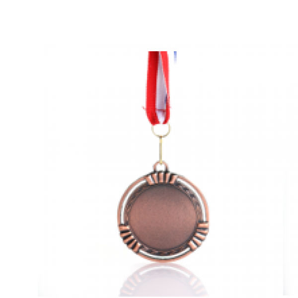 Striep Medal Awards & Recognition Medal AMD1011