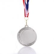 Maphm Medal Awards & Recognition Medal AMD1007_Silver-HD[1]