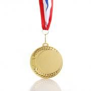 Maphm Medal Awards & Recognition Medal AMD1007_Gold-HD[1]