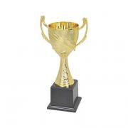 19409 Cup Silver Trophy Awards & Recognition Trophy Productview11652[2]