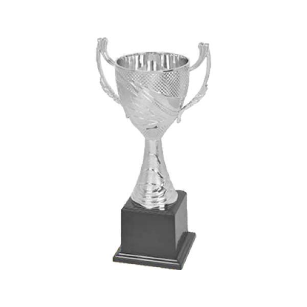 19409 Cup Silver Trophy Awards & Recognition Trophy Productview21652[2]