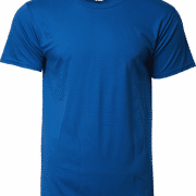 76000 Gildan Cotton Round Neck Tee Apparel Royal