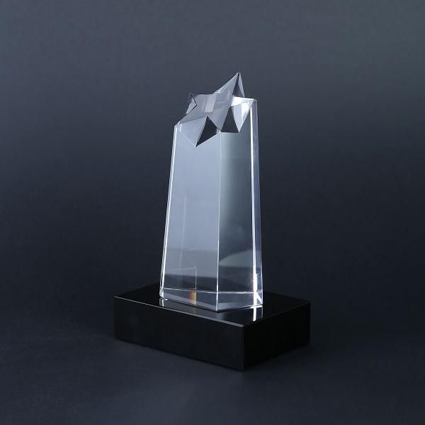 Orli Crystal Awards - M Awards & Recognition CRYSTAL New Products AWC1195TRAMDM_HD2