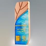 Ye Crystal Wooden Awards Awards & Recognition CRYSTAL New Products AWC1198