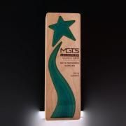 XingXing Wooden Awards Awards & Recognition Awards New Products AWC1205