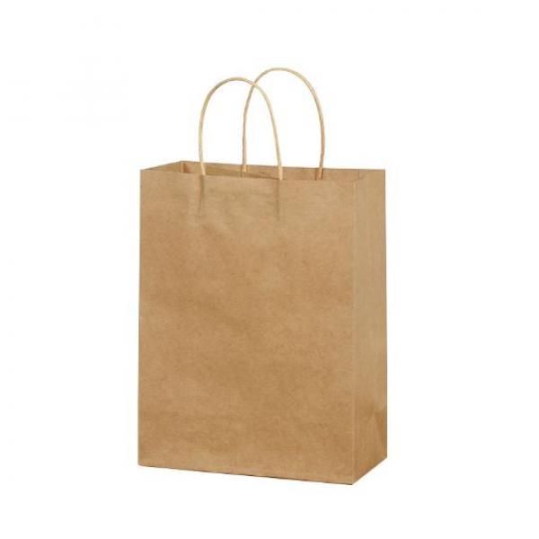 Kraft Paper Bag 15x8x21cm Other Bag Bags Food & Catering Packaging 4