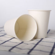 240ml Paper Cup Food & Catering Packaging FUP1009