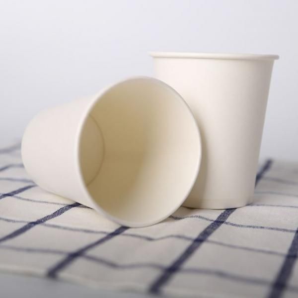 240ml Paper Cup Food & Catering Packaging FUP1009