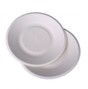 15.5cm Round Paper Plate Food & Catering Packaging FPB1000