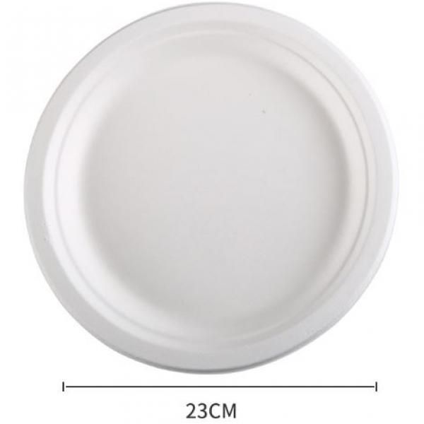 23cm Round Paper Plate Food & Catering Packaging FPB1003