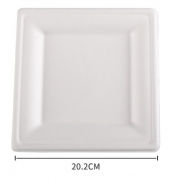 20.2cm Square Paper Plate Food & Catering Packaging FPB1005