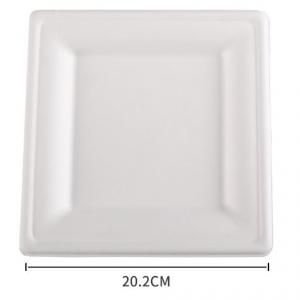 20.2cm Square Paper Plate Food & Catering Packaging FPB1005