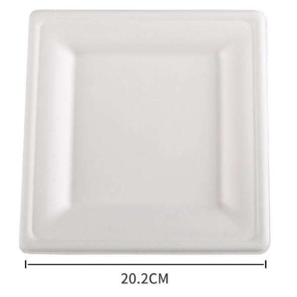 20.2cm Square Paper Plate Food & Catering Packaging FPB1005