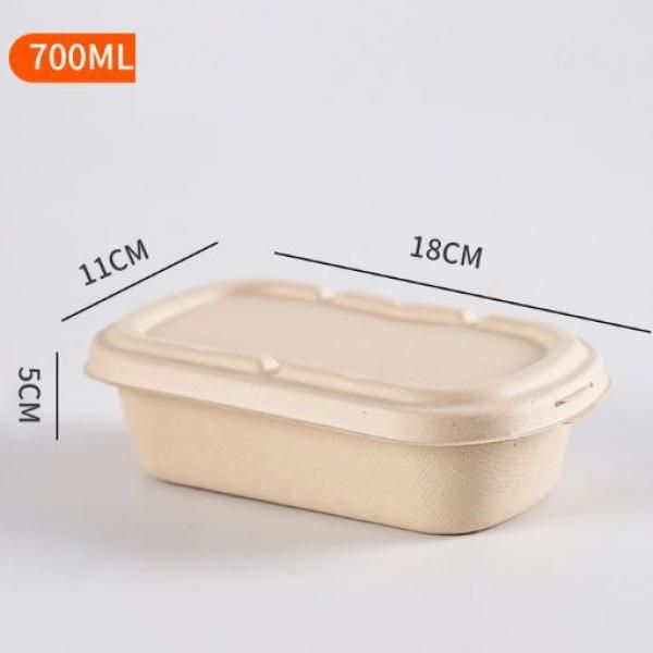 700ml Bento Box Food & Catering Packaging FTF1004