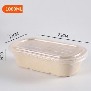 1000ml Bento Box with PP lid Food & Catering Packaging FTF1001