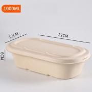 1000ml Bento Box Food & Catering Packaging FTF1005