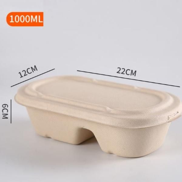 1000ml 2 Compartment Bento Box Food & Catering Packaging FTF1007