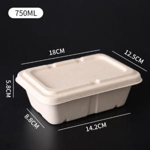 750ml Rectangle Bento Box Food & Catering Packaging FTF1010